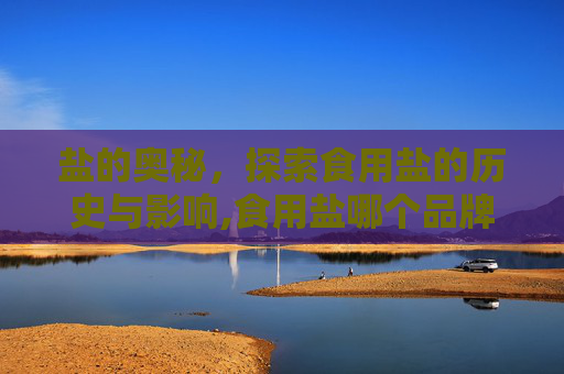 盐的奥秘，探索食用盐的历史与影响,食用盐哪个品牌好