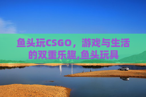 鱼头玩CSGO，游戏与生活的双重乐趣,鱼头玩具