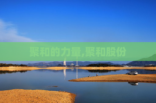 聚和的力量,聚和股份