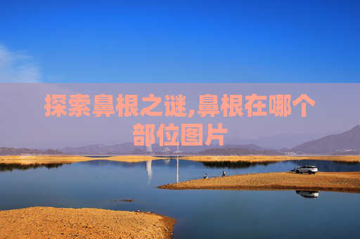 探索鼻根之谜,鼻根在哪个部位图片