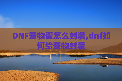 DNF宠物蛋怎么封装,dnf如何给宠物封装