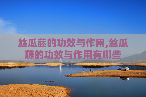 丝瓜藤的功效与作用,丝瓜藤的功效与作用有哪些