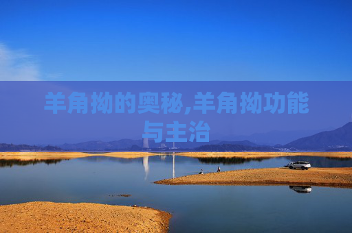 羊角拗的奥秘,羊角拗功能与主治