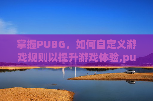 掌握PUBG，如何自定义游戏规则以提升游戏体验,pubg游戏设置教程