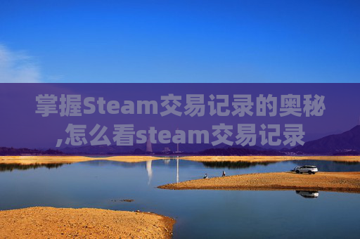 掌握Steam交易记录的奥秘,怎么看steam交易记录