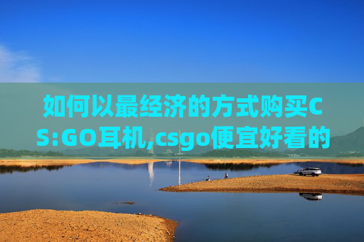 如何以最经济的方式购买CS:GO耳机,csgo便宜好看的枪