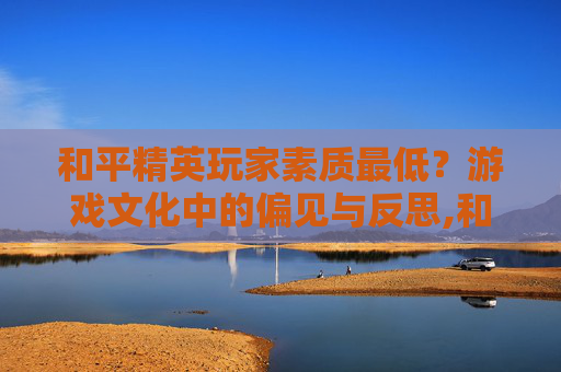 和平精英玩家素质最低？游戏文化中的偏见与反思,和平精英的最高