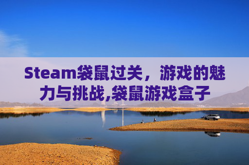 Steam袋鼠过关，游戏的魅力与挑战,袋鼠游戏盒子