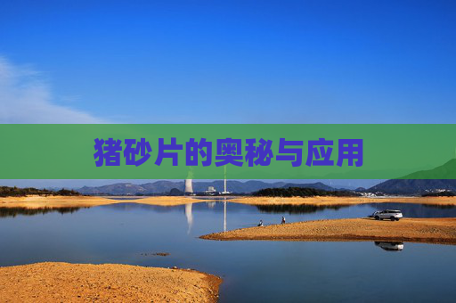 猪砂片的奥秘与应用