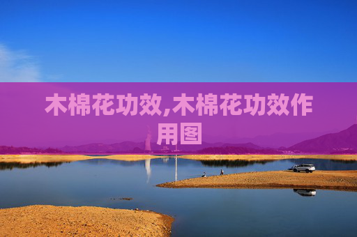 木棉花功效,木棉花功效作用图