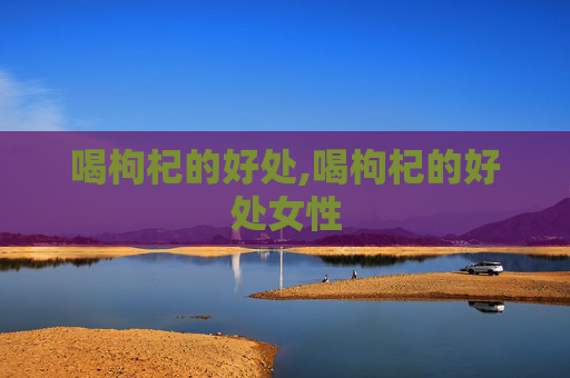 喝枸杞的好处,喝枸杞的好处女性