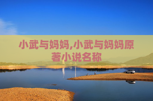 小武与妈妈,小武与妈妈原著小说名称