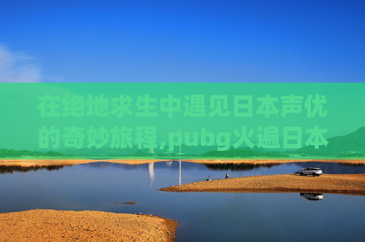 在绝地求生中遇见日本声优的奇妙旅程,pubg火遍日本