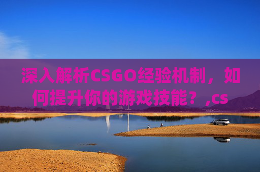 深入解析CSGO经验机制，如何提升你的游戏技能？,csgo经验值