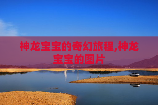 神龙宝宝的奇幻旅程,神龙宝宝的图片