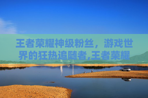 王者荣耀神级粉丝，游戏世界的狂热追随者,王者荣耀神级粉丝是什么