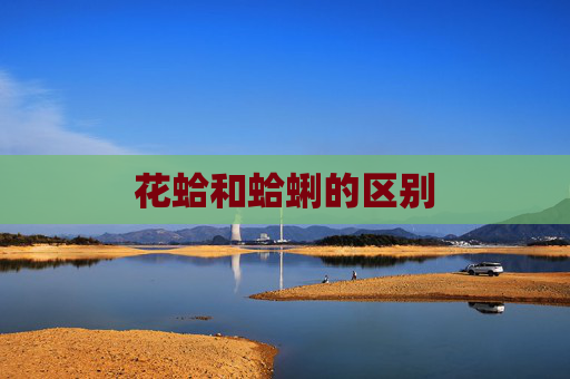 花蛤和蛤蜊的区别