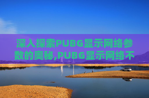 深入探索PUBG显示网络参数的奥秘,PUBG显示网络不稳定
