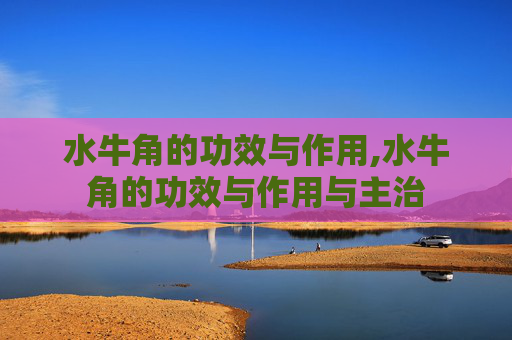 水牛角的功效与作用,水牛角的功效与作用与主治