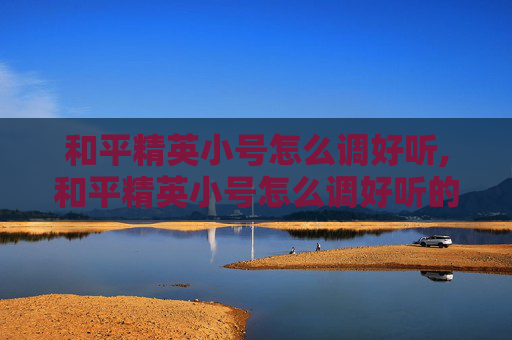 和平精英小号怎么调好听,和平精英小号怎么调好听的声音