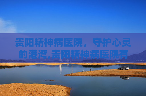 贵阳精神病医院，守护心灵的港湾,贵阳精神病医院有哪些