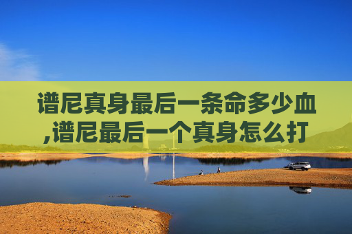 谱尼真身最后一条命多少血,谱尼最后一个真身怎么打