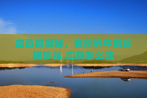 血燕的奥秘，自然界中的珍稀珍品,血燕怎么吃