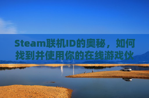 Steam联机ID的奥秘，如何找到并使用你的在线游戏伙伴,STEAM联机恐怖游戏免费
