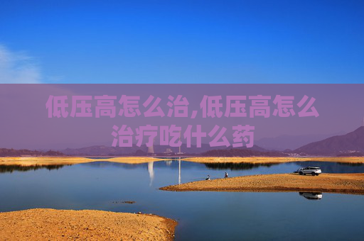 低压高怎么治,低压高怎么治疗吃什么药