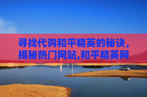 寻找代购和平精英的秘诀，揭秘热门网站,和平精英网购平台名称