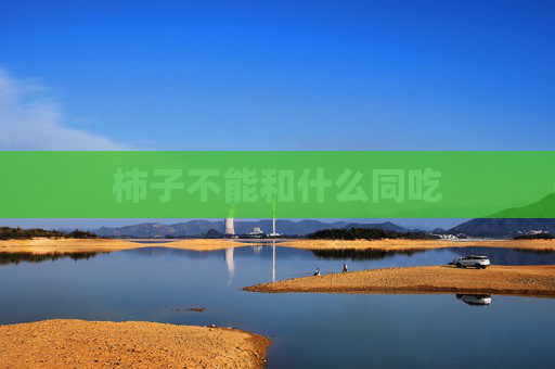 柿子不能和什么同吃
