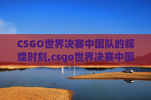 CSGO世界决赛中国队的辉煌时刻,csgo世界决赛中国队参加了吗