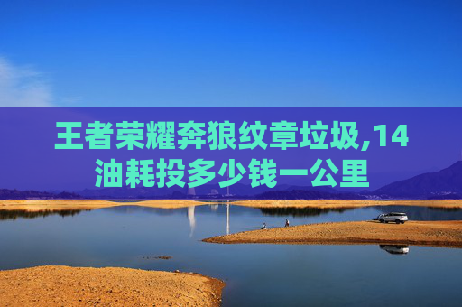 王者荣耀奔狼纹章垃圾,14油耗投多少钱一公里
