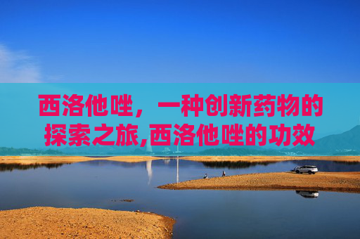 西洛他唑，一种创新药物的探索之旅,西洛他唑的功效