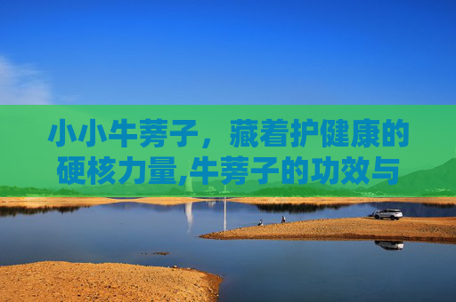 小小牛蒡子，藏着护健康的硬核力量,牛蒡子的功效与作用
