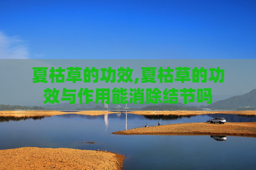 夏枯草的功效,夏枯草的功效与作用能消除结节吗