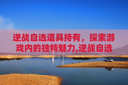 逆战自选道具持有，探索游戏内的独特魅力,逆战自选道具重置技巧