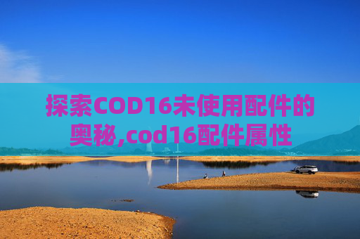 探索COD16未使用配件的奥秘,cod16配件属性