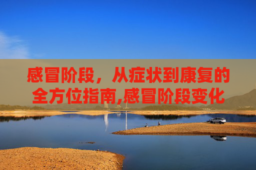 感冒阶段，从症状到康复的全方位指南,感冒阶段变化及时间
