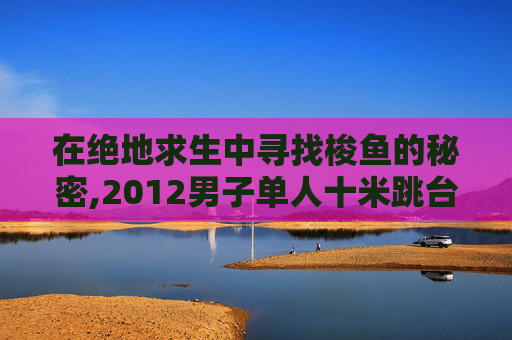 在绝地求生中寻找梭鱼的秘密,2012男子单人十米跳台