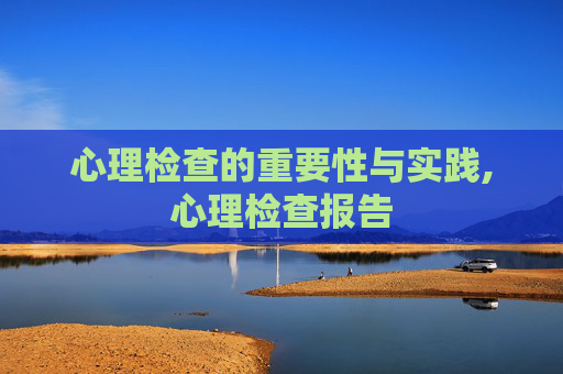 心理检查的重要性与实践,心理检查报告