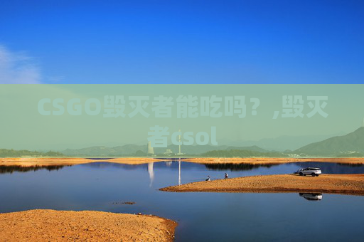 CSGO毁灭者能吃吗？,毁灭者csol