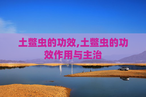 土鳖虫的功效,土鳖虫的功效作用与主治