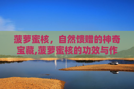 菠萝蜜核，自然馈赠的神奇宝藏,菠萝蜜核的功效与作用营养价值