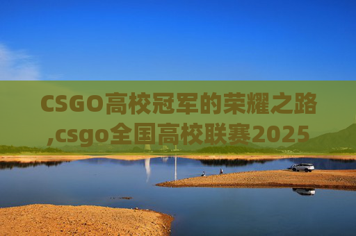 CSGO高校冠军的荣耀之路,csgo全国高校联赛2025
