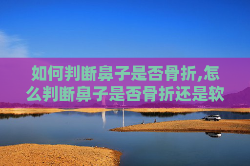 如何判断鼻子是否骨折,怎么判断鼻子是否骨折还是软骨损伤