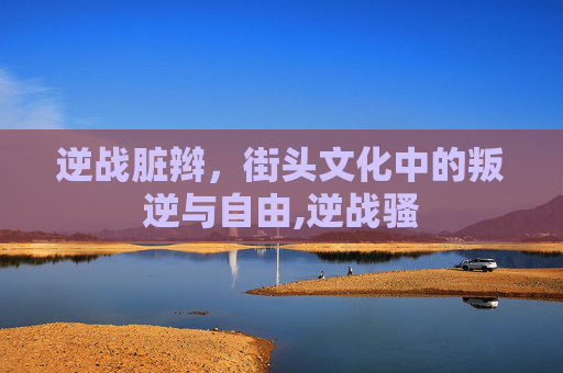逆战脏辫，街头文化中的叛逆与自由,逆战骚