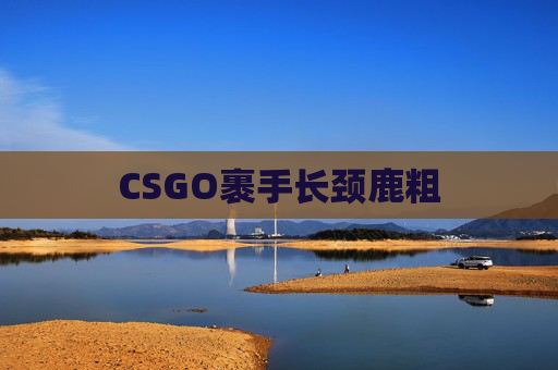 CSGO裹手长颈鹿粗