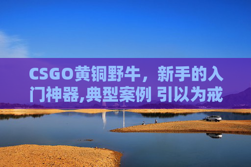 CSGO黄铜野牛，新手的入门神器,典型案例 引以为戒