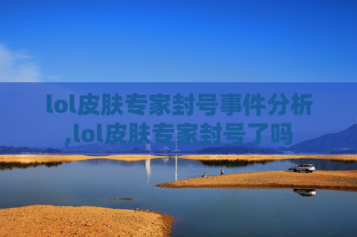 lol皮肤专家封号事件分析,lol皮肤专家封号了吗